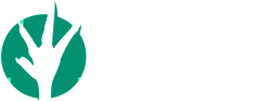 FRIGORÍFICO NICOLINI LTDA